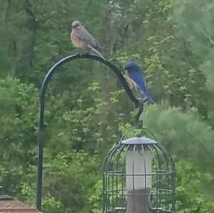 Meet your Posher, Angie